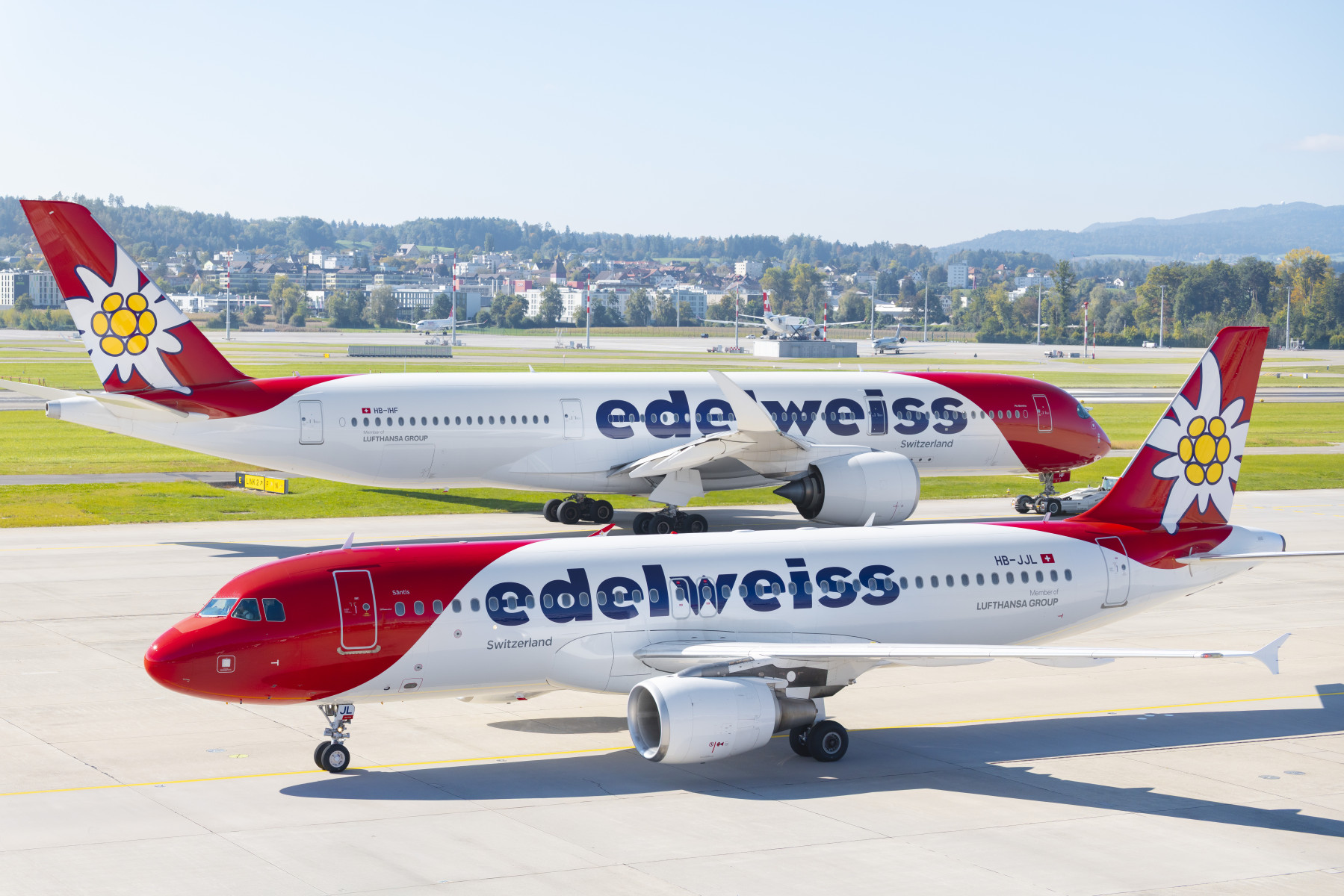 Edelweiss