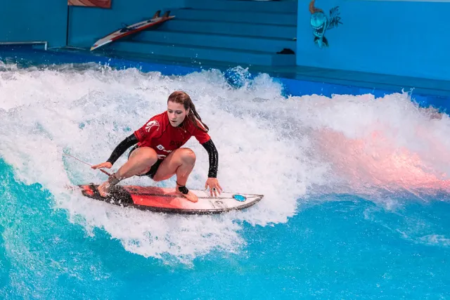 Swiss Surfing